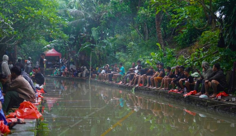 www.nusabali.com-st-tri-samaya-sukawati-gelar-lomba-mancing-untuk-penggalangan-dana