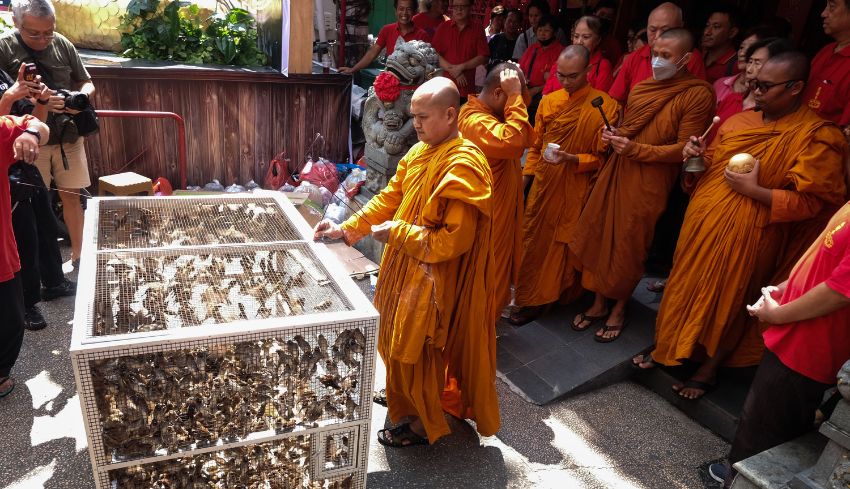 www.nusabali.com-tradisi-melepas-burung-pipit-di-klenteng-tien-kok-sie-sambut-imlek-2576