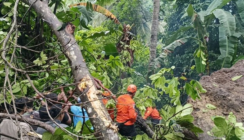 www.nusabali.com-seluruh-korban-longsor-desa-pikat-akhirnya-ditemukan