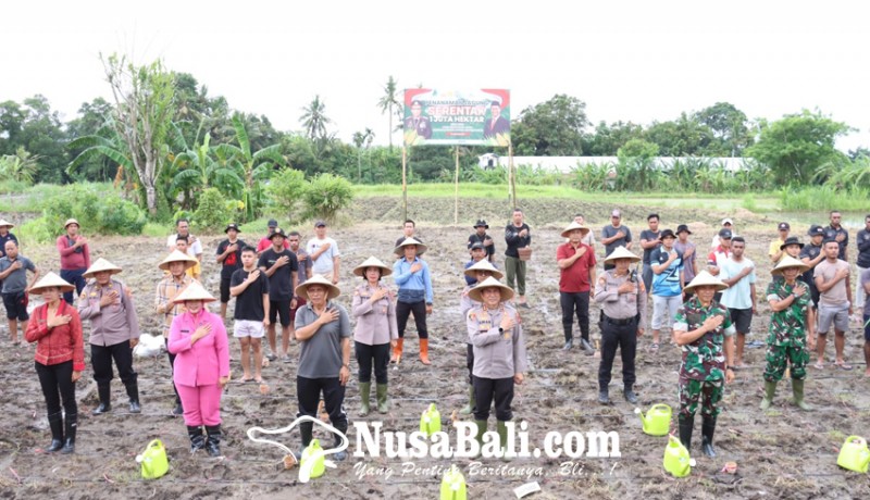 www.nusabali.com-polres-gianyar-tanam-jagung-serentak-di-lahan-sejuta-hektare