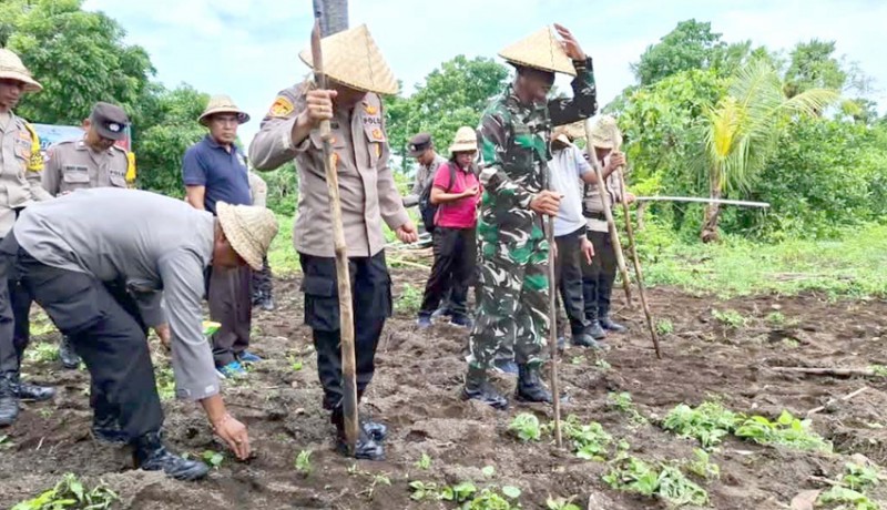 www.nusabali.com-polsek-kubu-koordinir-gerakan-tanam-jagung