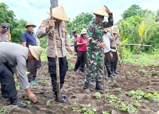 Nusabali.com - polsek-kubu-koordinir-gerakan-tanam-jagung