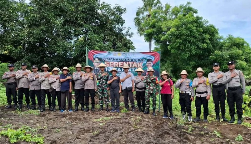 www.nusabali.com-polres-bangli-tanam-jagung-di-lahan-kurang-produktif