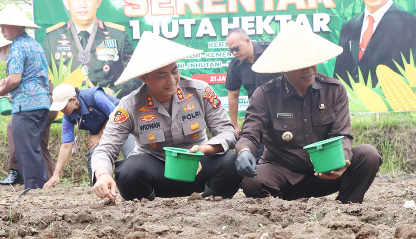 www.nusabali.com-polres-buleleng-tanam-jagung-di-desa-sambangan