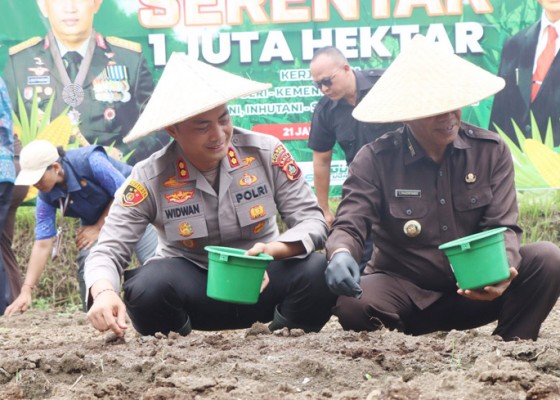 Nusabali.com - polres-buleleng-tanam-jagung-di-desa-sambangan