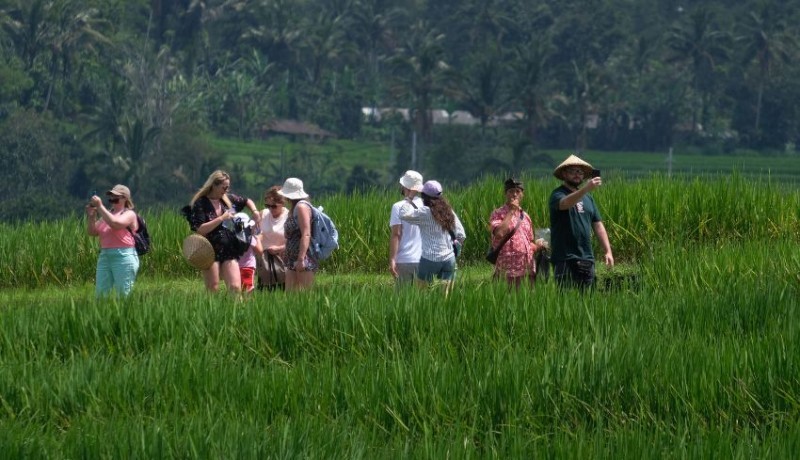 www.nusabali.com-bali-mulai-alokasikan-dana-pwa-desa-adat-subak-dan-pemda-kebagian