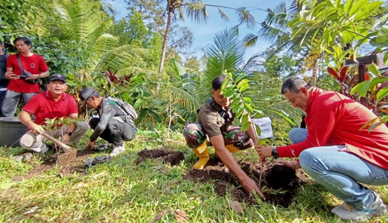 www.nusabali.com-pdip-buleleng-hijaukan-hutan-desa-ambengan