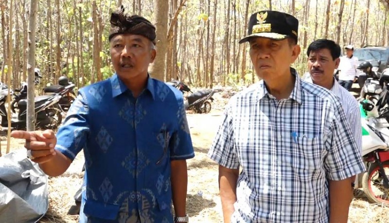 www.nusabali.com-gubernur-perintahkan-pengungsi-di-hutan-jati-pindah