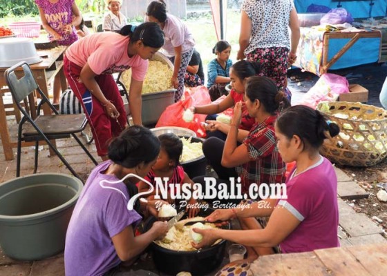 Nusabali.com - pengungsi-tak-biasa-makan-3-kali