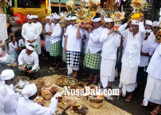 Nusabali.com - gabungan-organisasi-wanita-ngayah-rejang-renteng