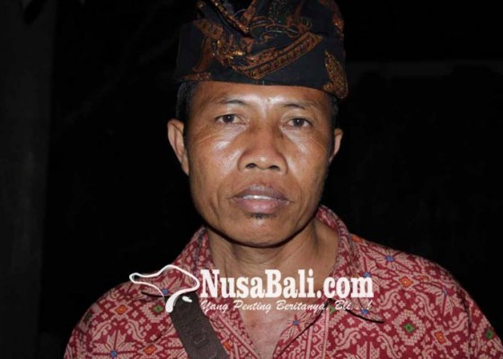 Nusabali.com - kelian-banjar-dikeroyok-saat-pimpin-pembagian-daging-babi-guling-di-pura