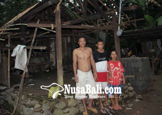 Nusabali.com - rumah-tertimpa-pohon-satu-keluarga-mengungsi