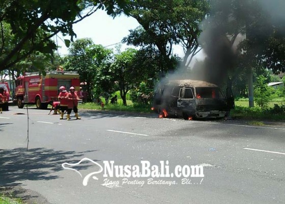 Nusabali.com - minibus-terbakar-bus-terjun-ke-sawah