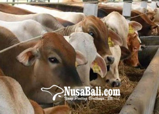 Nusabali.com - industri-diminta-bantu-tingkatkan-populasi-sapi