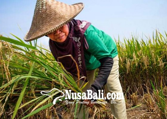 Nusabali.com - ntp-bali-di-atas-nasional