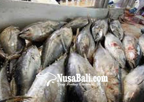 Nusabali.com - china-terbesar-serap-ekspor-ikan-bali