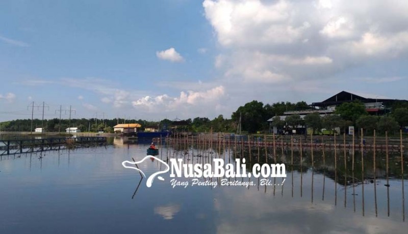 www.nusabali.com-35-hektare-dam-estuari-ditata-ulang