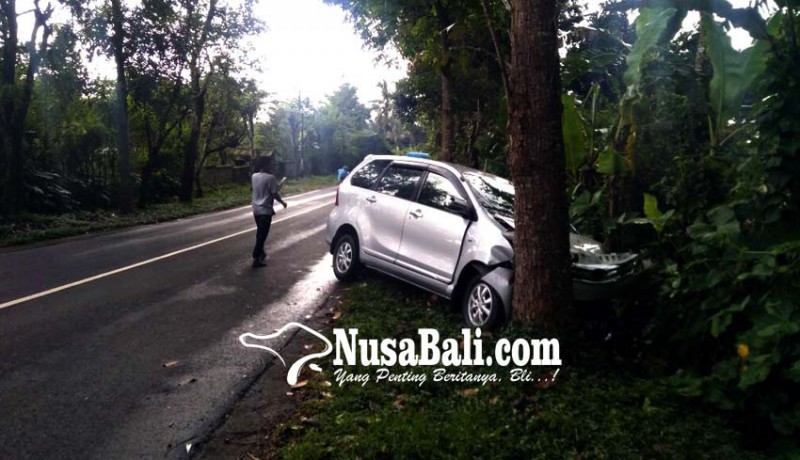 www.nusabali.com-hilang-kendali-mobil-tabrak-pohon-perindang