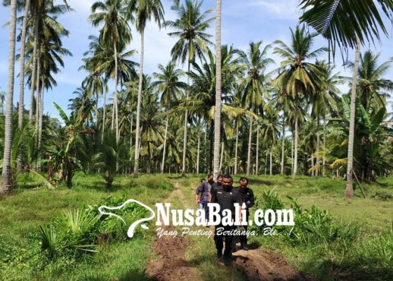 Nusabali.com - bupati-artha-tak-akan-keluarkan-izin-tambak