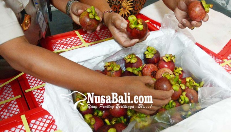 www.nusabali.com-qatar-diembargo-hortikultura-bali-siap-masuk