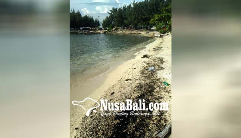 www.nusabali.com-misterius-ceceran-minyak-hitam-di-pantai-pulau-pari