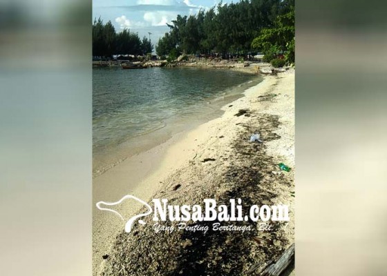 Nusabali.com - misterius-ceceran-minyak-hitam-di-pantai-pulau-pari