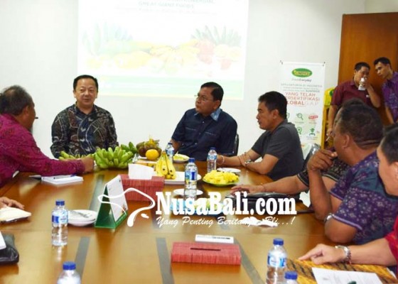 Nusabali.com - perbekel-dan-lurah-diboyong-ke-banten