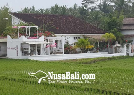 Nusabali.com - sawah-hanya-jadi-pemandangan-gratis