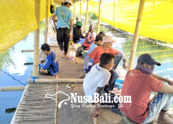 Nusabali.com - warga-sewakan-kolam-pancing