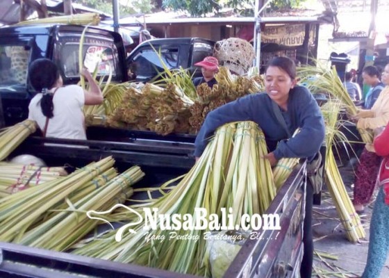 Nusabali.com - jelang-galungan-peralatan-upacara-merangkak-naik