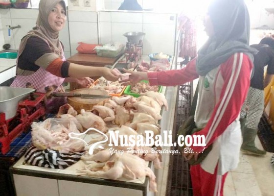 Nusabali.com - langka-harga-ayam-kampung-tembus-rp-90000-per-ekor