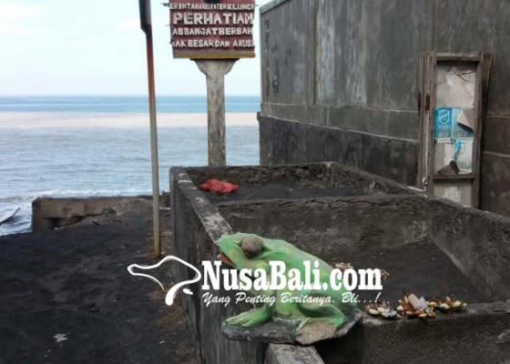 Nusabali.com - penyu-sulit-bertelur-di-tegal-besar