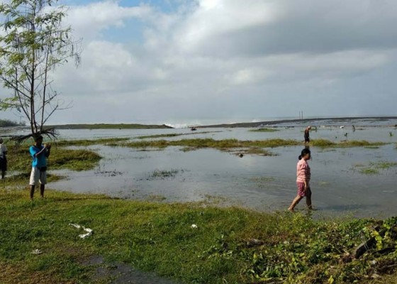 Nusabali.com - 7-ha-sawah-terendam-air-laut