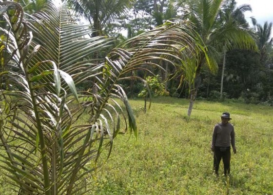 Nusabali.com - subak-tohpati-harapkan-realiasi-bendungan