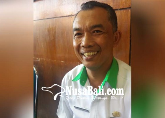 Nusabali.com - kucing-terserang-rabies-di-pundukdawa