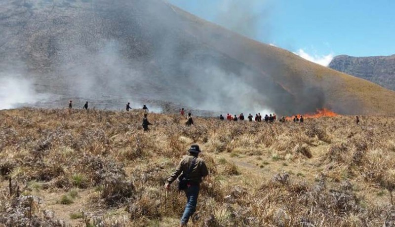 www.nusabali.com-areal-gunung-bromo-terbakar