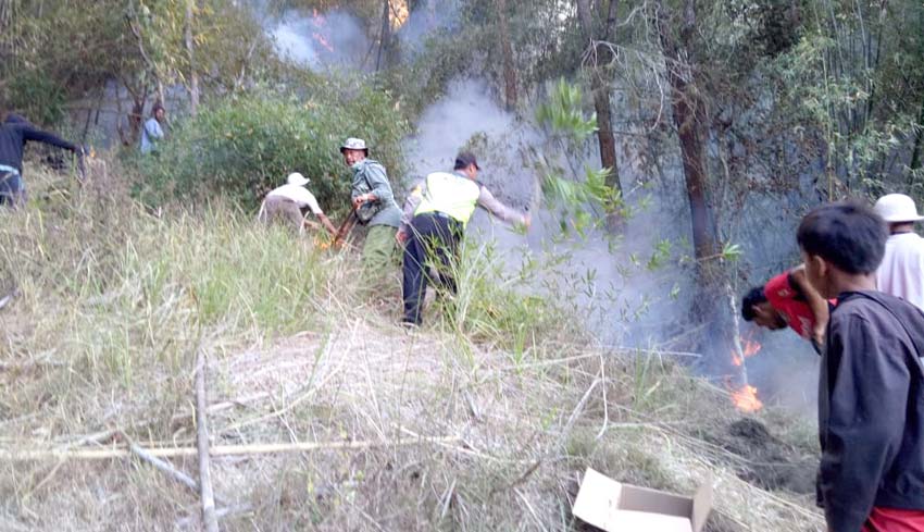 NUSABALI.com - Hutan Lindung Di Songan B Terbakar