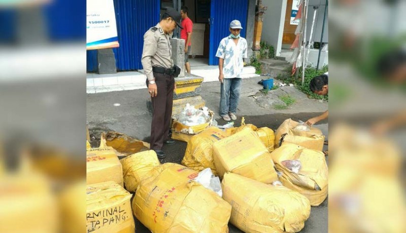 www.nusabali.com-lagi-11-box-terumbu-karang-diamankan