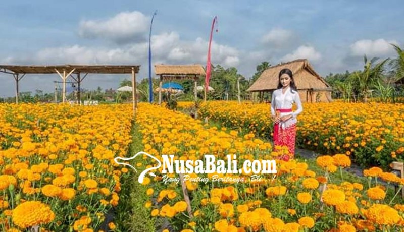 www.nusabali.com-desa-bakas-terbaik-di-festival-desa
