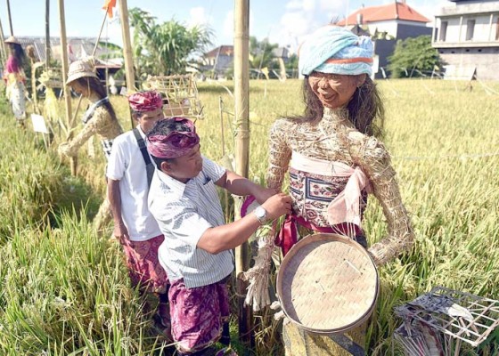 Nusabali.com - lestarikan-subak-digelar-lomba-lelakut-pindekan-dan-sunari