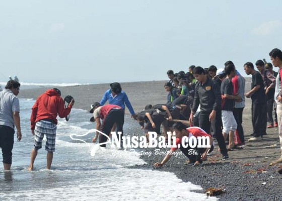 Nusabali.com - kirab-pemuda-gelar-kebersihan-di-pantai