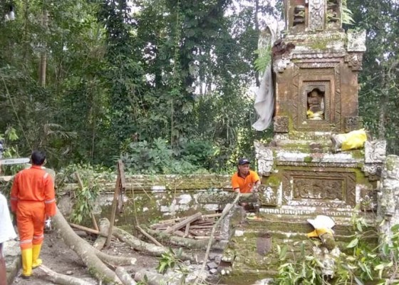 Nusabali.com - padmasana-tertimpa-pohon-bunut