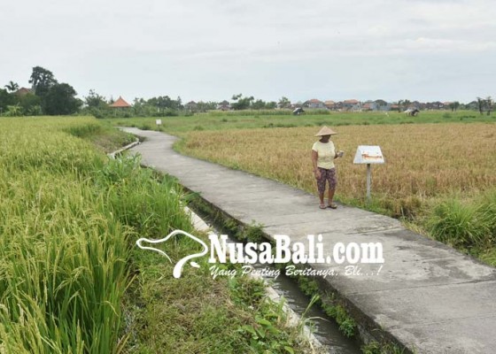 Nusabali.com - subak-padanggalak-dirancang-jadi-sekolah-alam