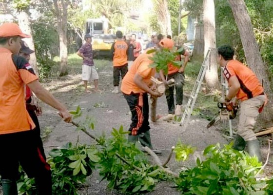 Nusabali.com - antisipasi-banjir-warga-intensifkan-gotong-royong