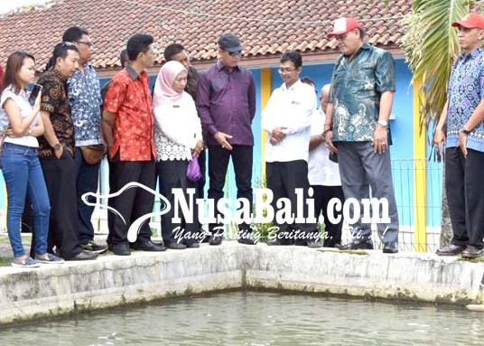 Nusabali.com - produksi-surplus-ikan-air-tawar-terancam-limbah