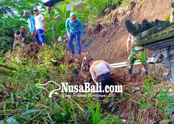 Nusabali.com - petani-suyak-aya-mulai-garap-lahan