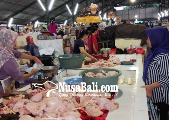 Nusabali.com - jelang-galungan-harga-daging-ayam-naik