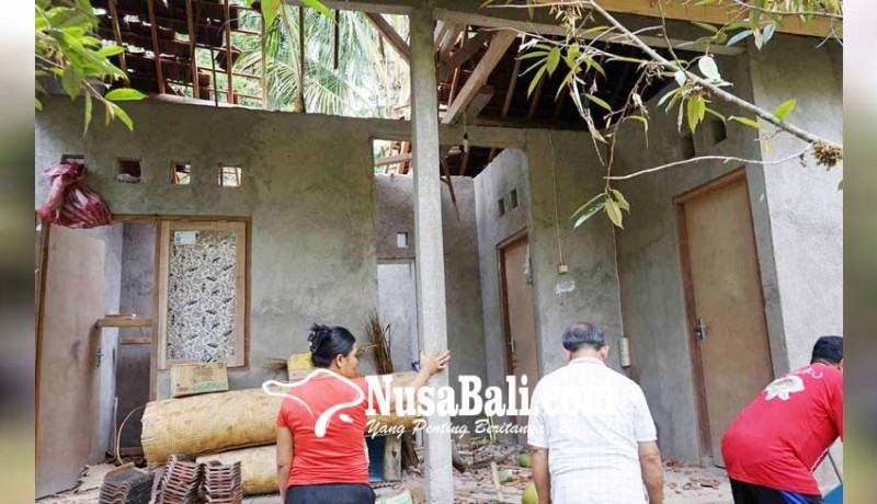 www.nusabali.com-rumah-dan-sekolah-tertimpa-pohon-tumbang