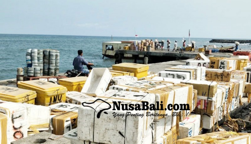 www.nusabali.com-cuaca-buruk-boks-ikan-menumpuk-di-dermaga-ppi-sangsit