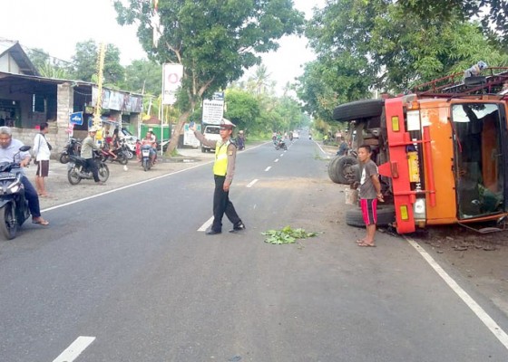 Nusabali.com - truk-pakan-babi-terguling-di-patas